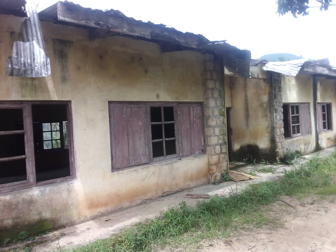 Education in the Grassfields: Our Schools Need Your Help